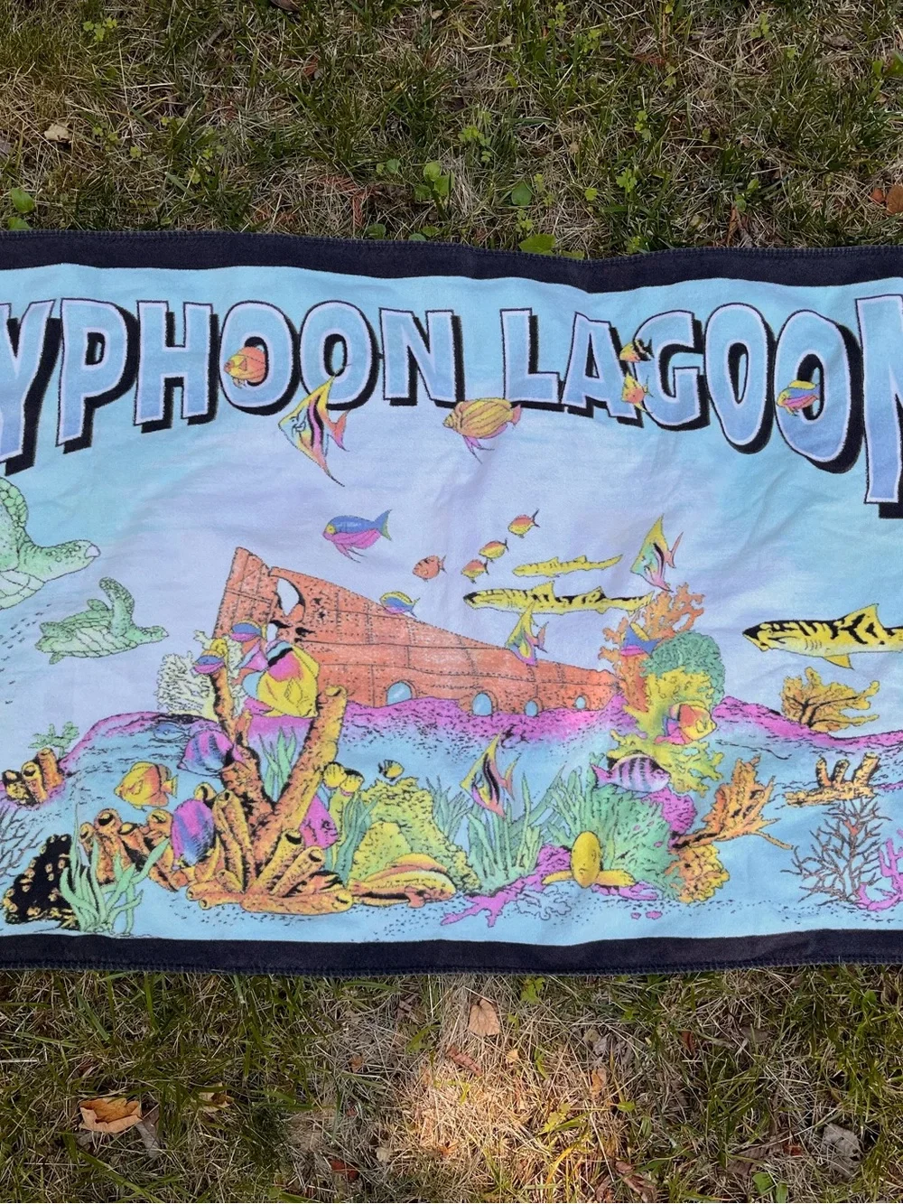 Vintage Disney Typhoon Lagoon Towel